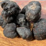 Élményteli szarvasgomba keresés Palkonyán! 🌳 Vegyél részt az V. Szarvasgomba Napon, élvezd a kóstolót, és kövesd Szálka kutyát a túrán.
