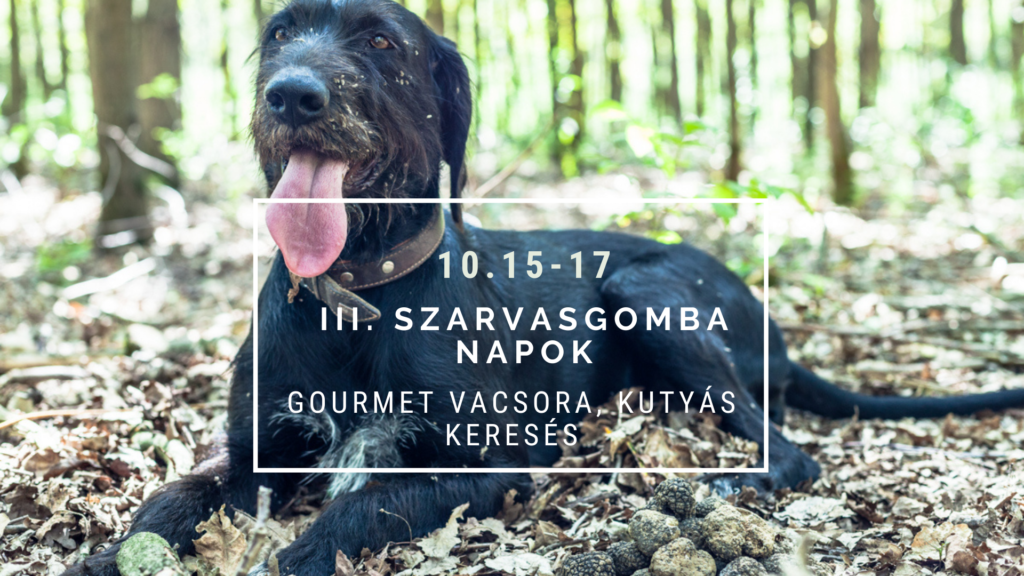 III. Szarvasgomba nap Triflafaterrel